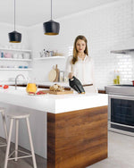 Electrolux Rapido Cordless Handheld Vacuum Cleaner