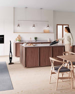 Electrolux Rapido Cordless Handheld Vacuum Cleaner