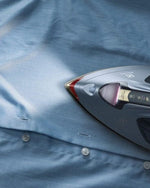 Electrolux Renew 800 Steam Iron