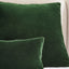 Christy Arles Cushion Forest Green