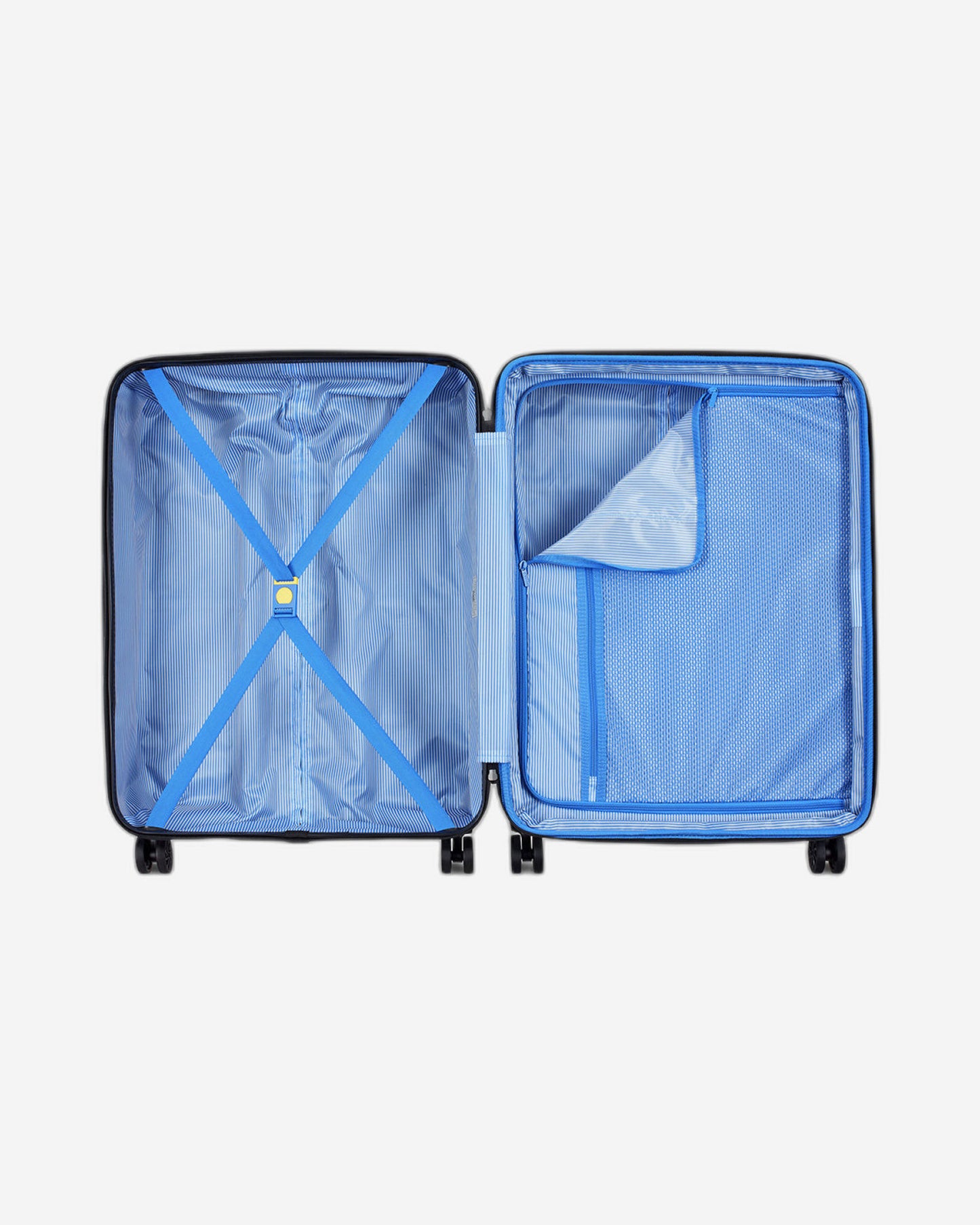 Delsey Paris Camelia Luggage