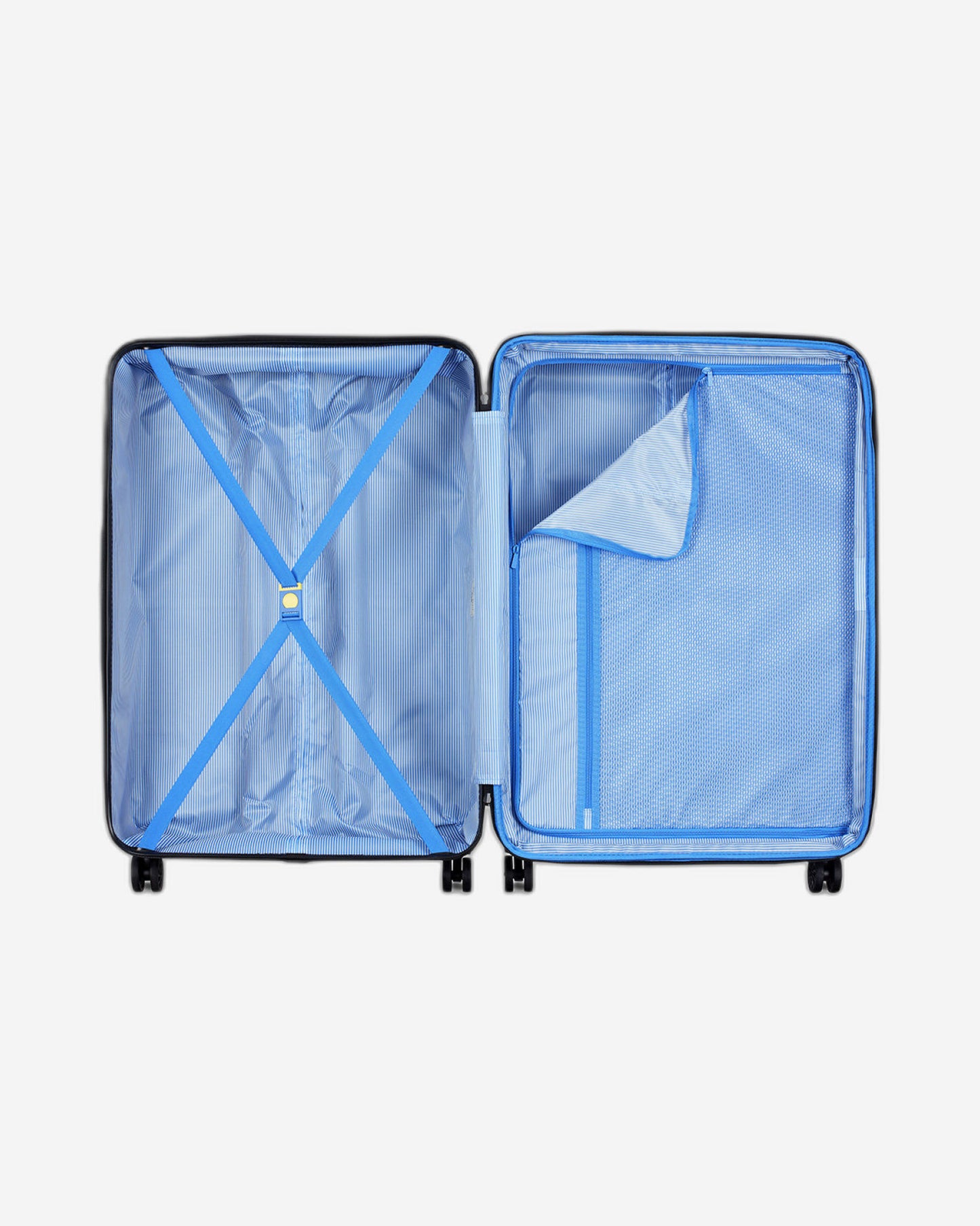 Delsey Paris Camelia Luggage