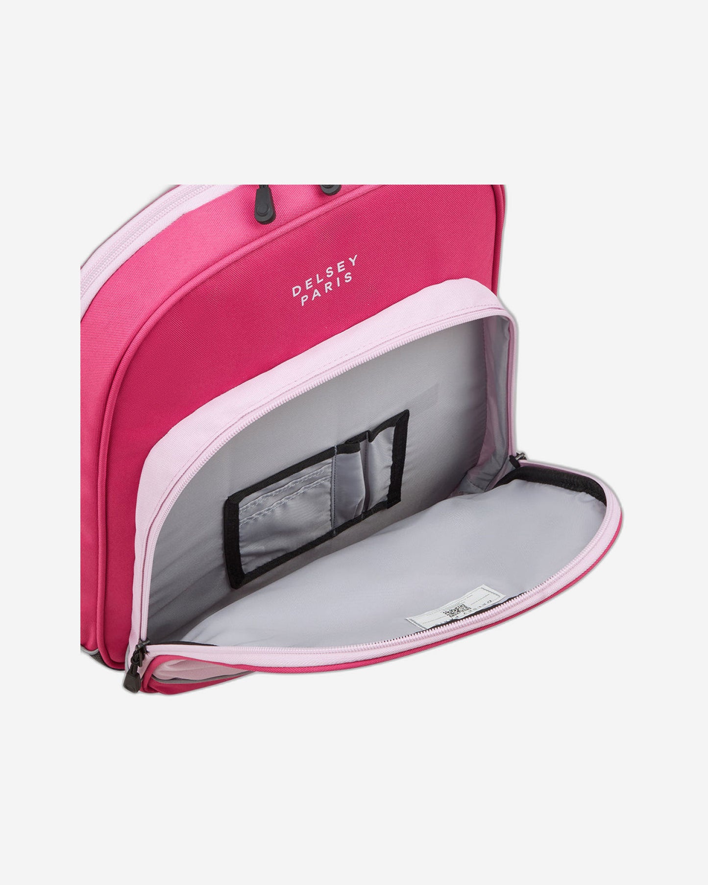 Delsey Paris BTS 2025 Printed Backpack