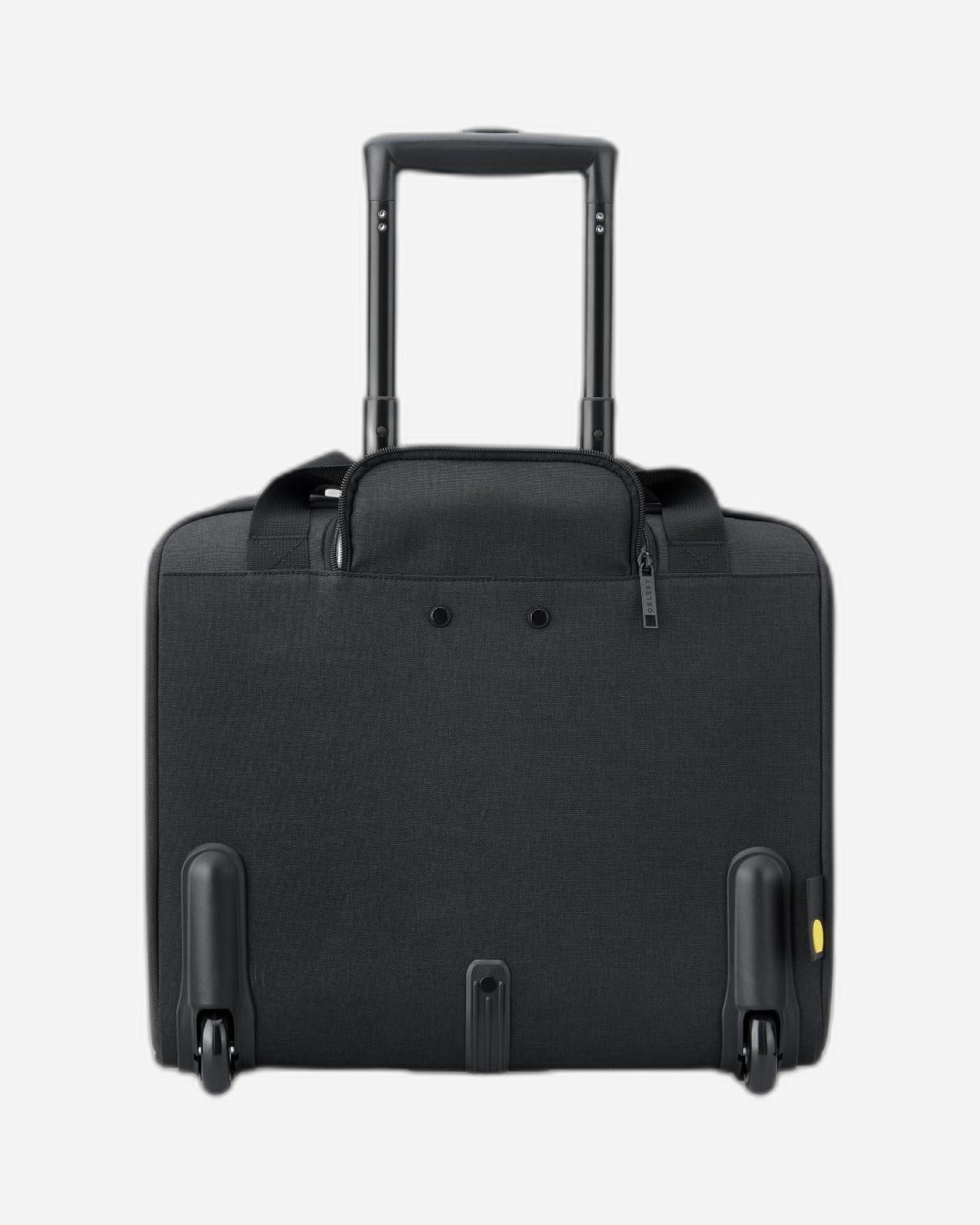 Delsey Paris Esplanade Luggage