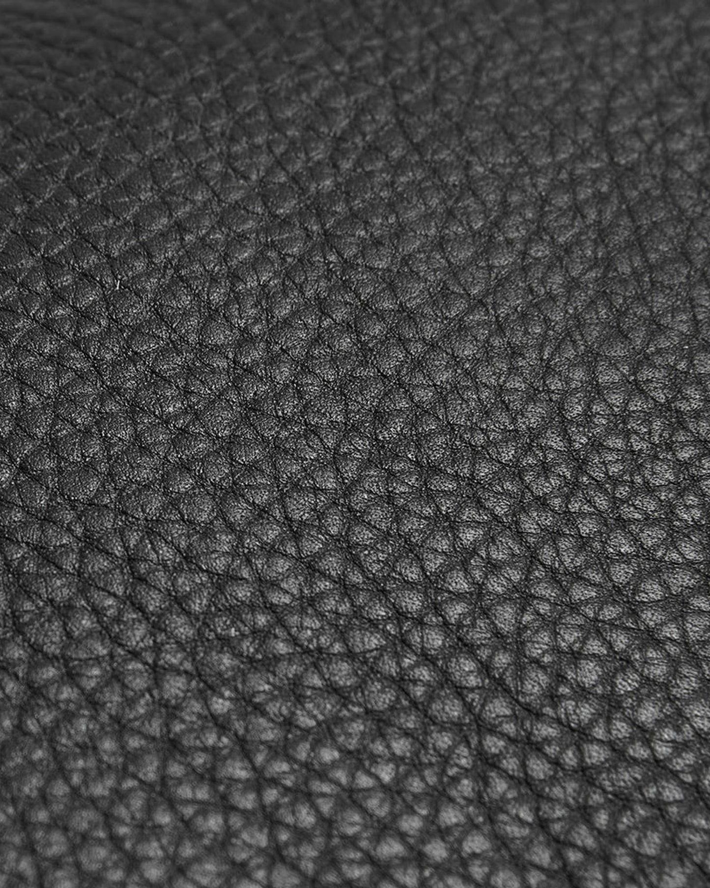 Delsey Paris Lecuir Graine Toiletry Bag