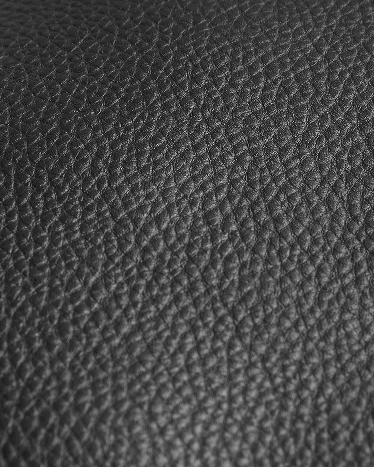 Delsey Paris Le Cuir Graine Briefcase