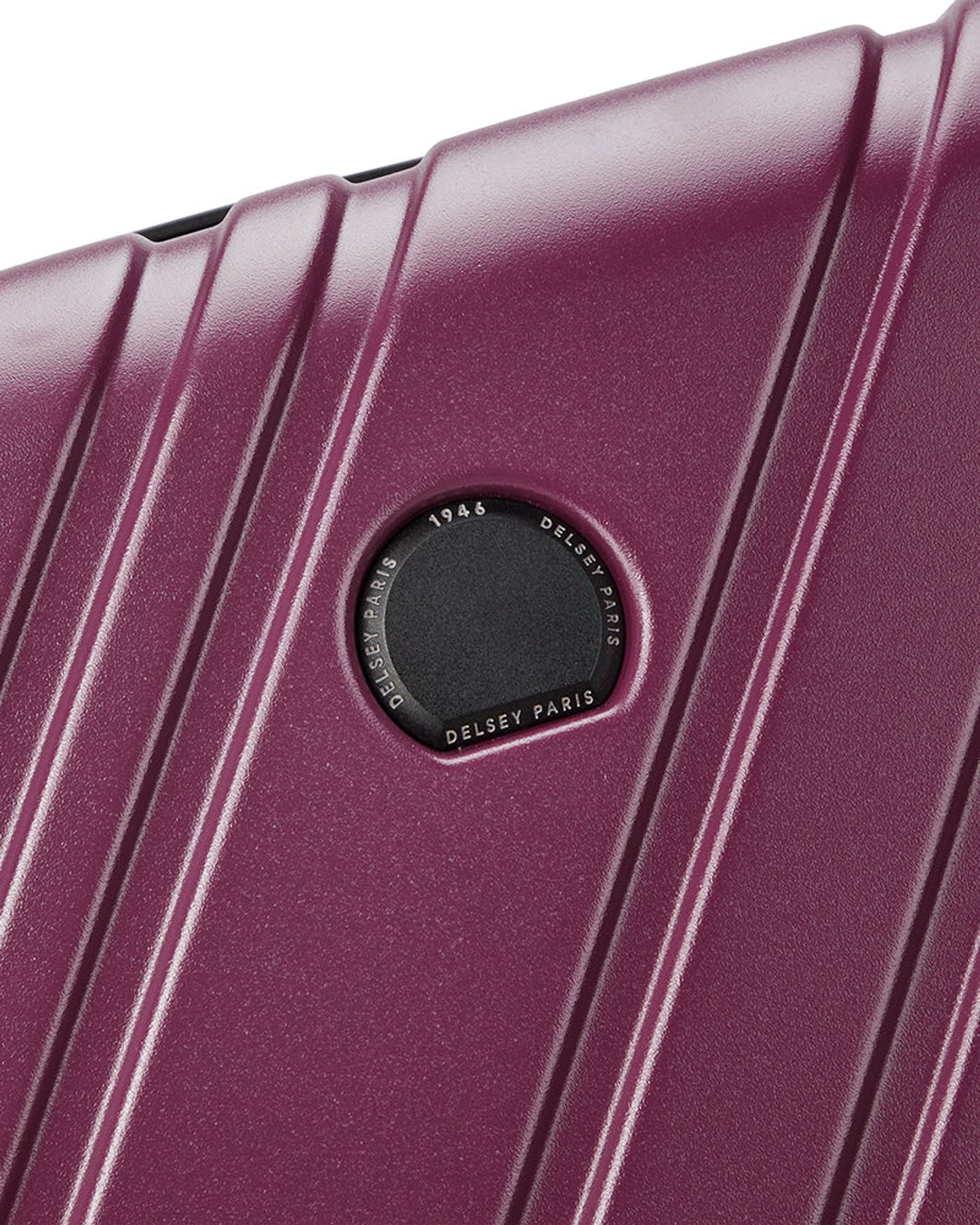 Delsey Paris Maxence Luggage