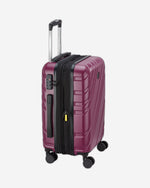 Delsey Paris Maxence Luggage