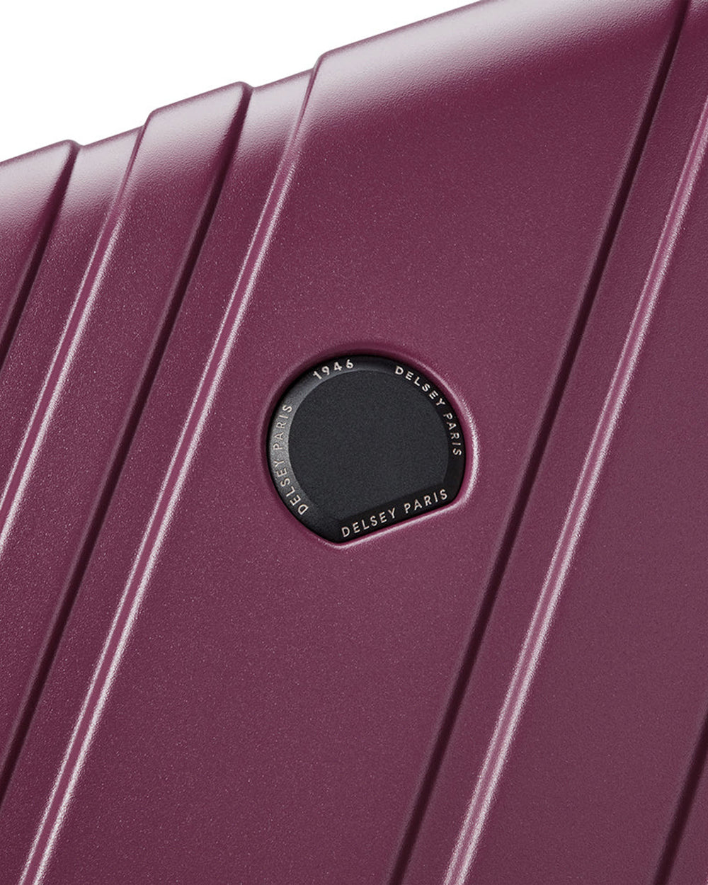 Delsey Paris Maxence Luggage