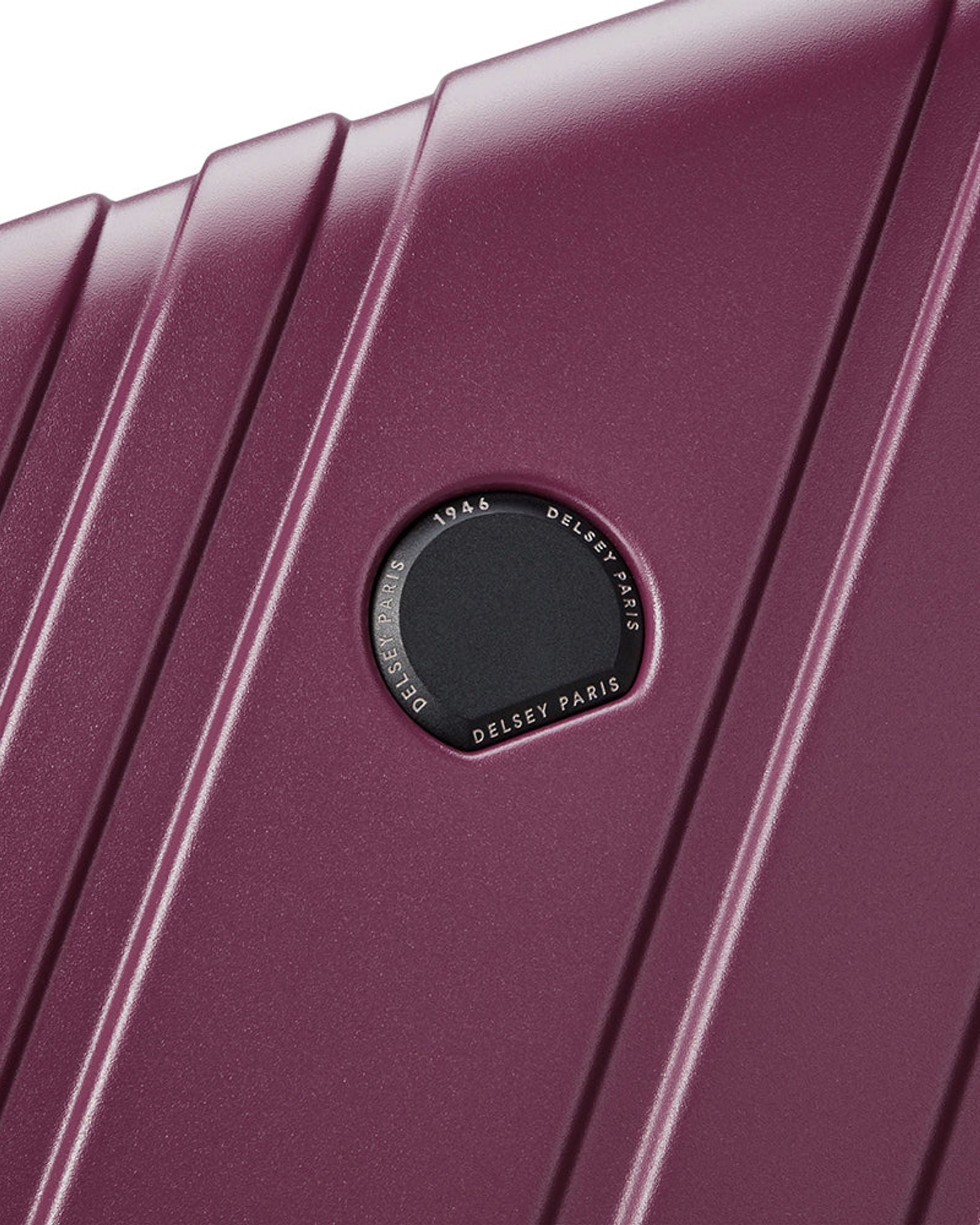 Delsey Paris Maxence Luggage