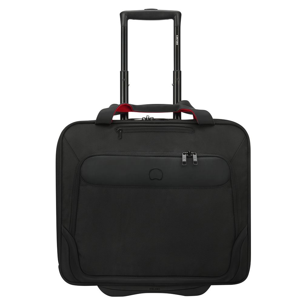 Delsey Paris Parvis Briefcase
