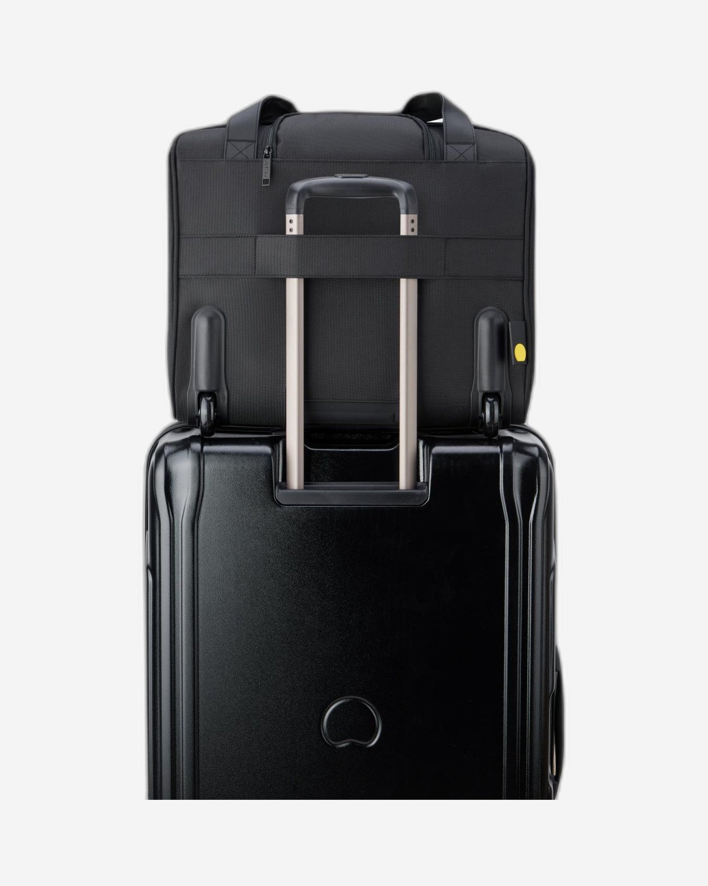 Delsey Paris Parvis Plus Luggage