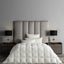 Togas Kaiser Masurian goose down duvet