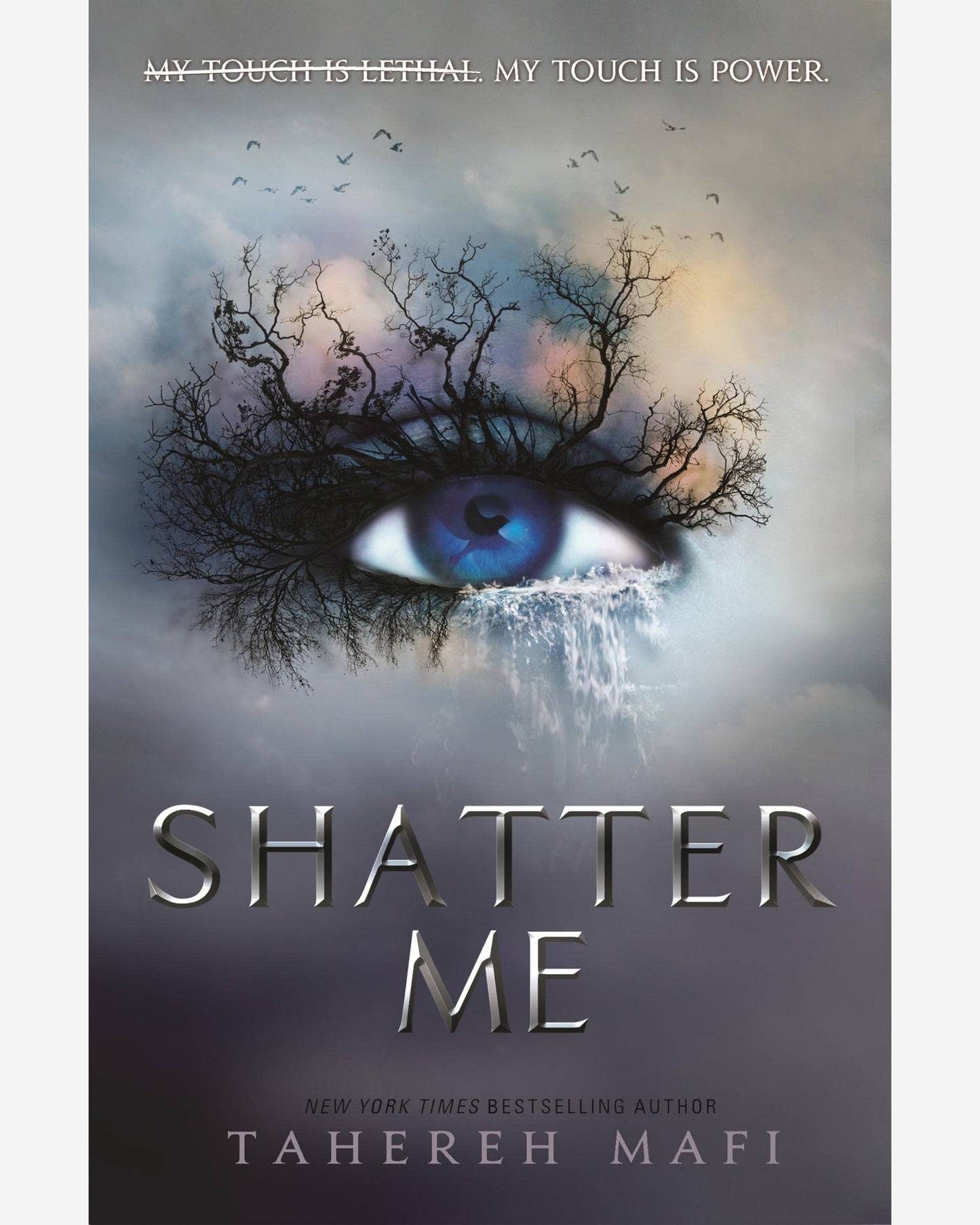 Shatter Me : 1