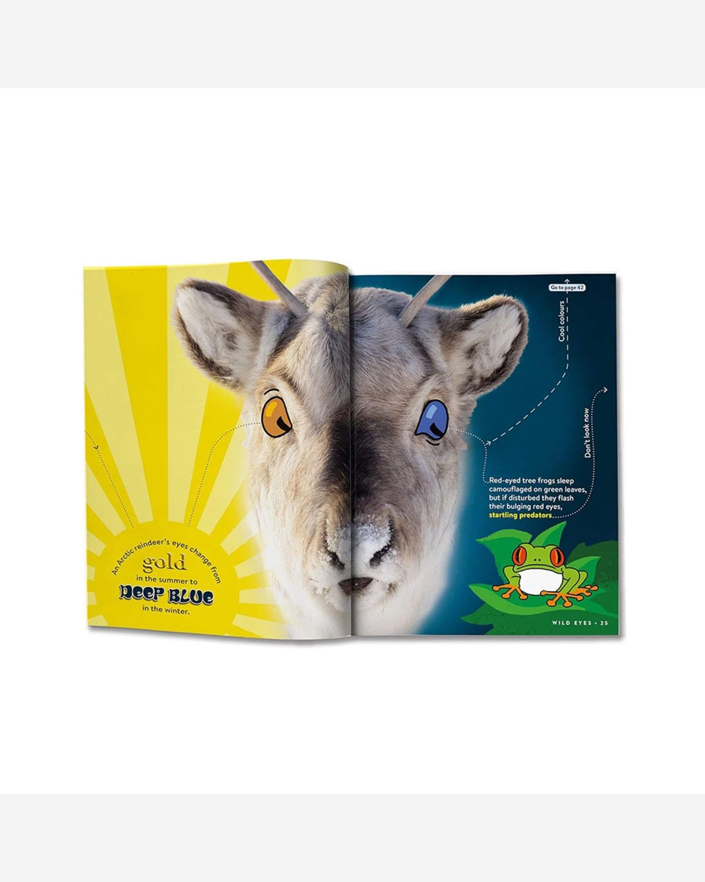 Animal FACTopia!: Follow the Trail of 400 Beastly Facts [Britannica]