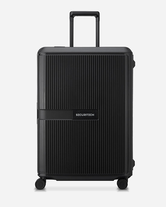 Delsey Paris Securitech Stone Set of 3 Luggage