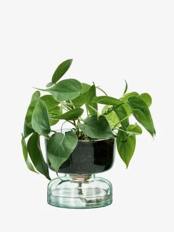 LSA Canopy Self Watering Planter Clear/Part Optic