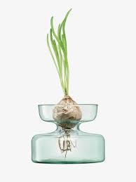 LSA Canopy Vase/Bulb Planter  Clear