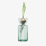 LSA Canopy Vase/Bulb Planter Clear
