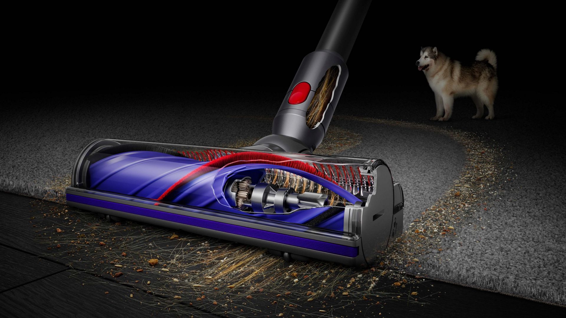 Dyson V8™ Cordless Vacuum
