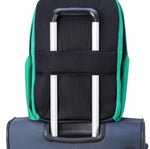 Delsey Paris Securban