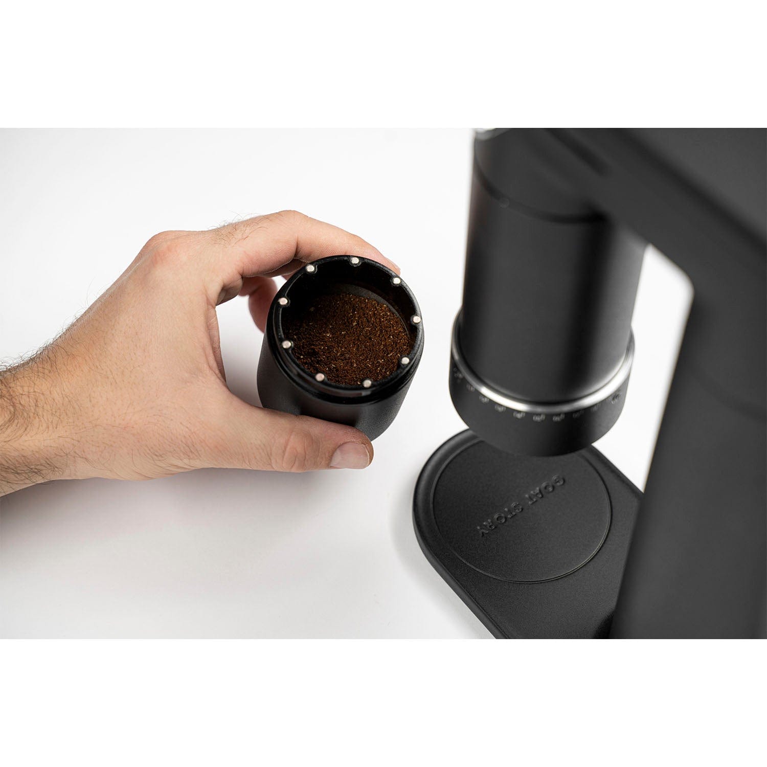 Goat Story Arco 2In1