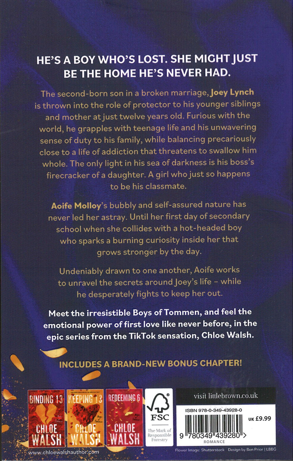 Saving 6 : Epic, emotional and addictive romance from the TikTok phenomenon