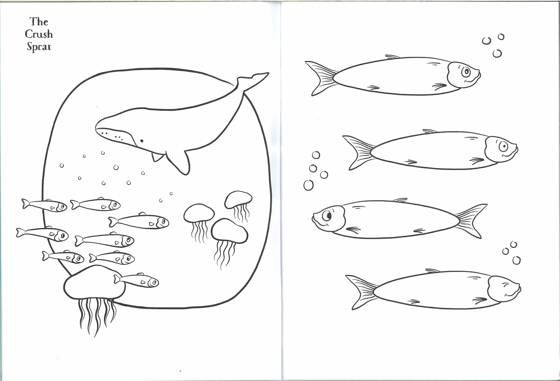 Penguin Crush Colouring Book (The Crush Series) – Jashanmal