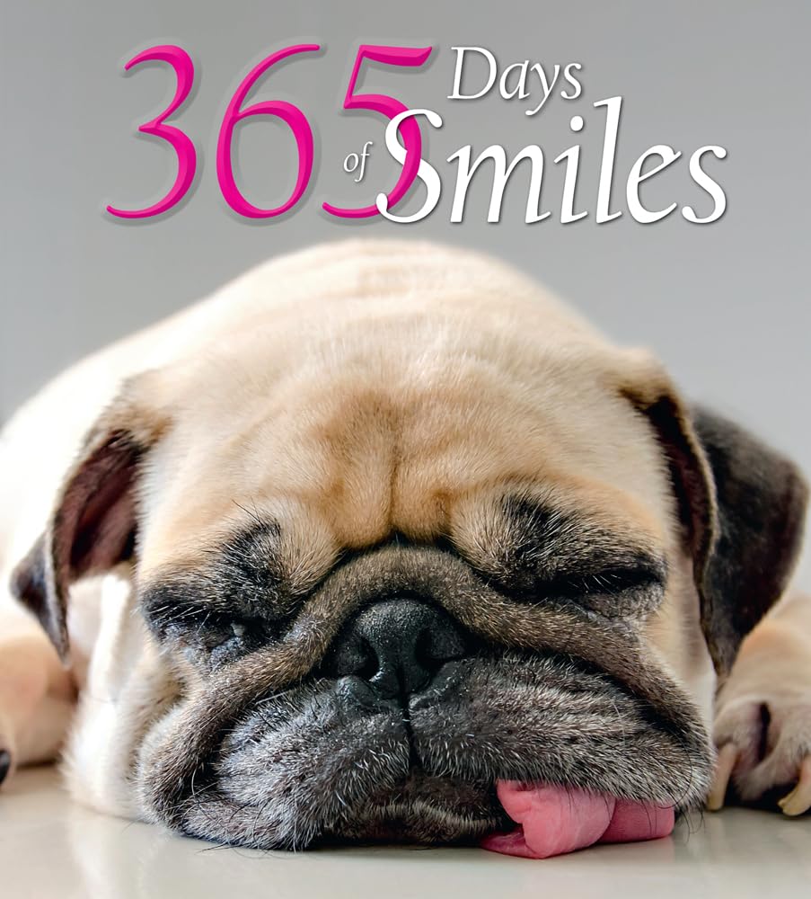 365 Days of Smiles