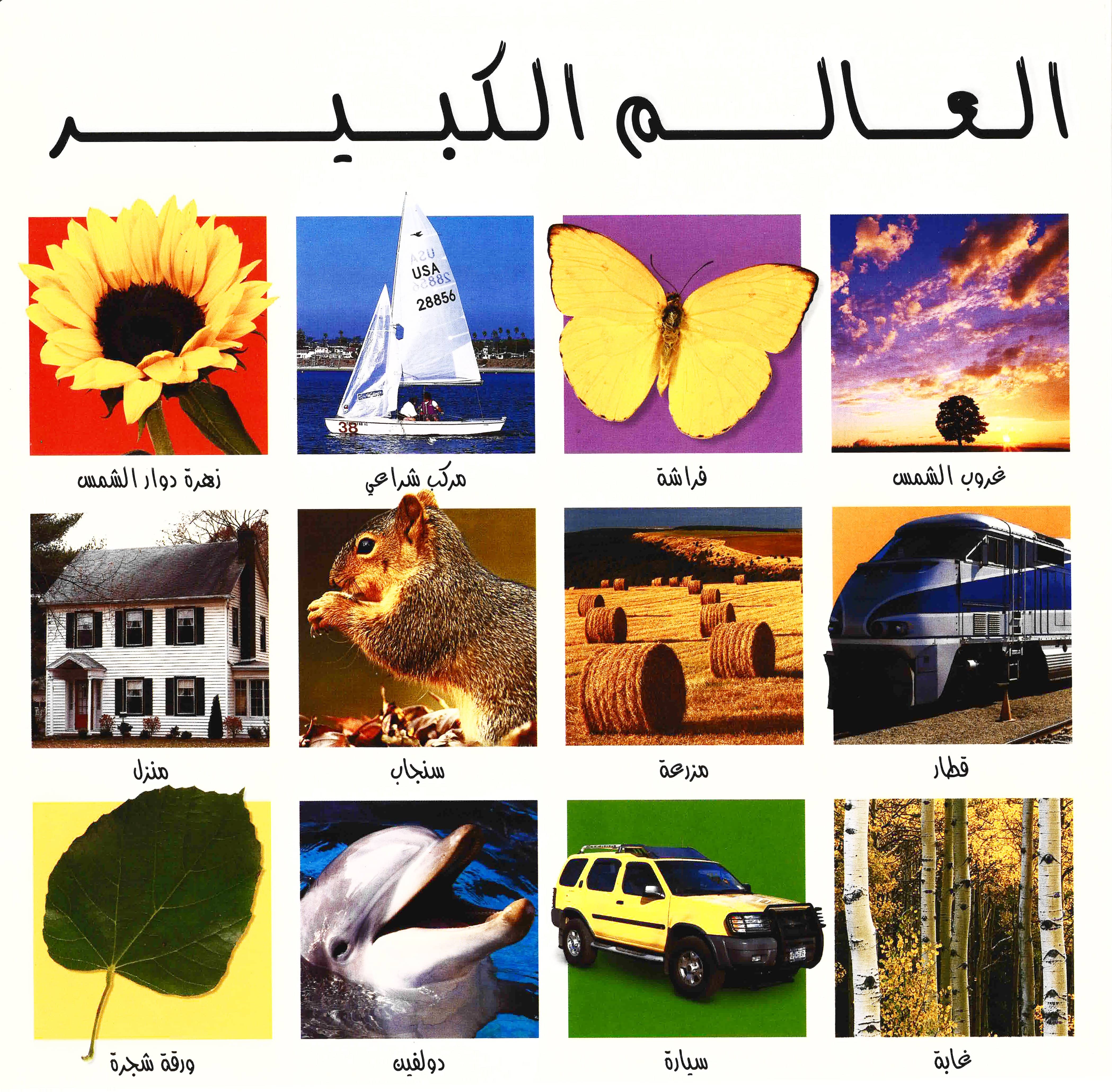 كتابي العالمي الكبير باللغة العربية