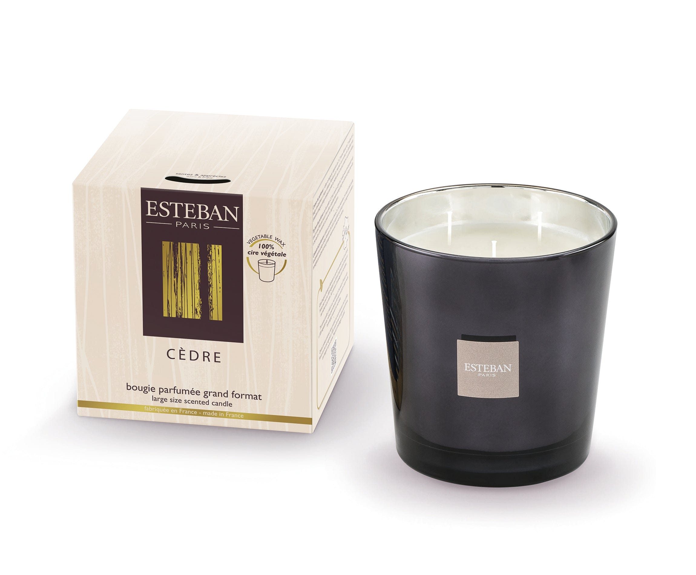 LARGE SIZE SCENTED CANDLE 450 g